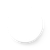 Shikimic acid background